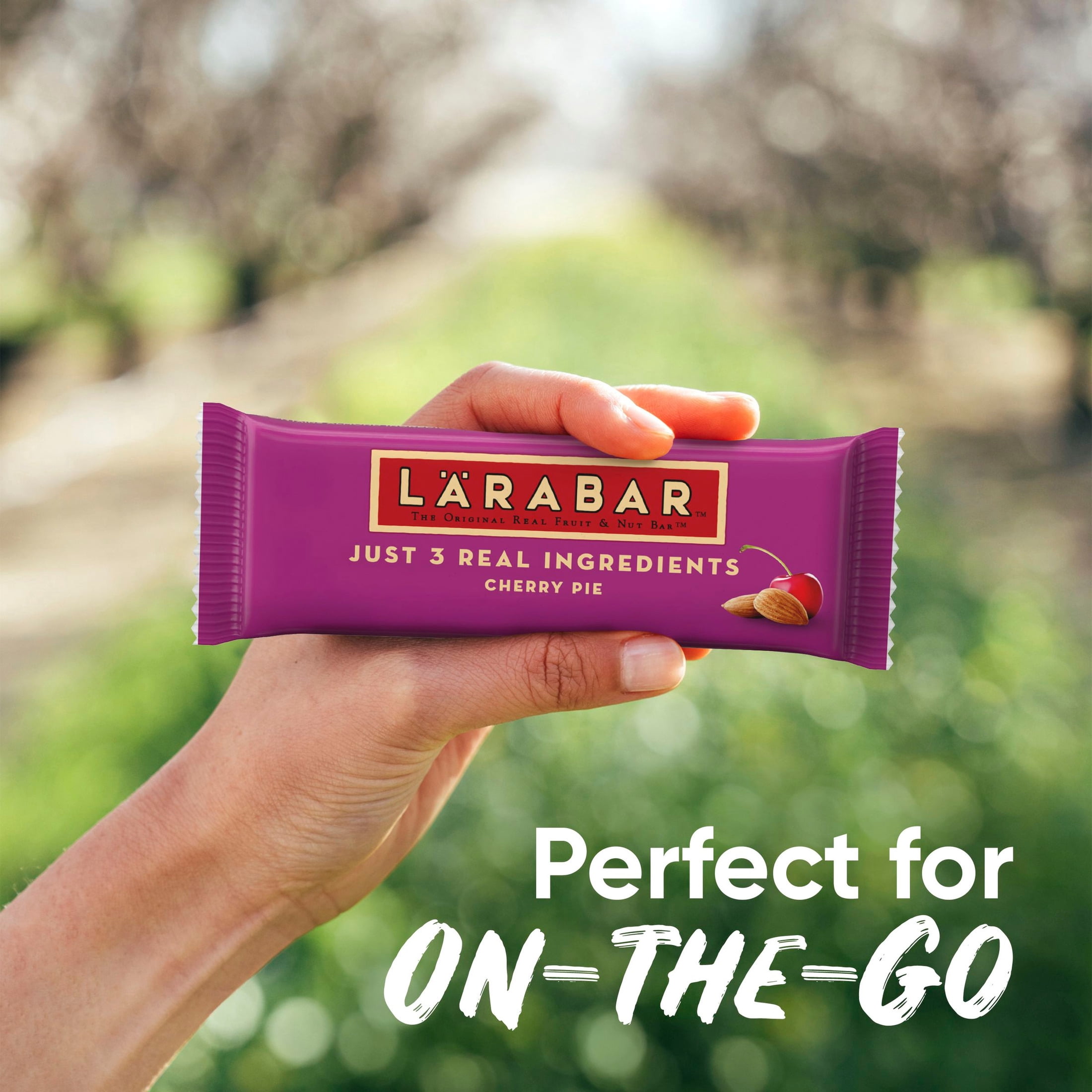 (4 pack) Larabar Cherry Pie Fruit and Nut Bars, Gluten Free and Vegan, 10.2 oz, 6 Count