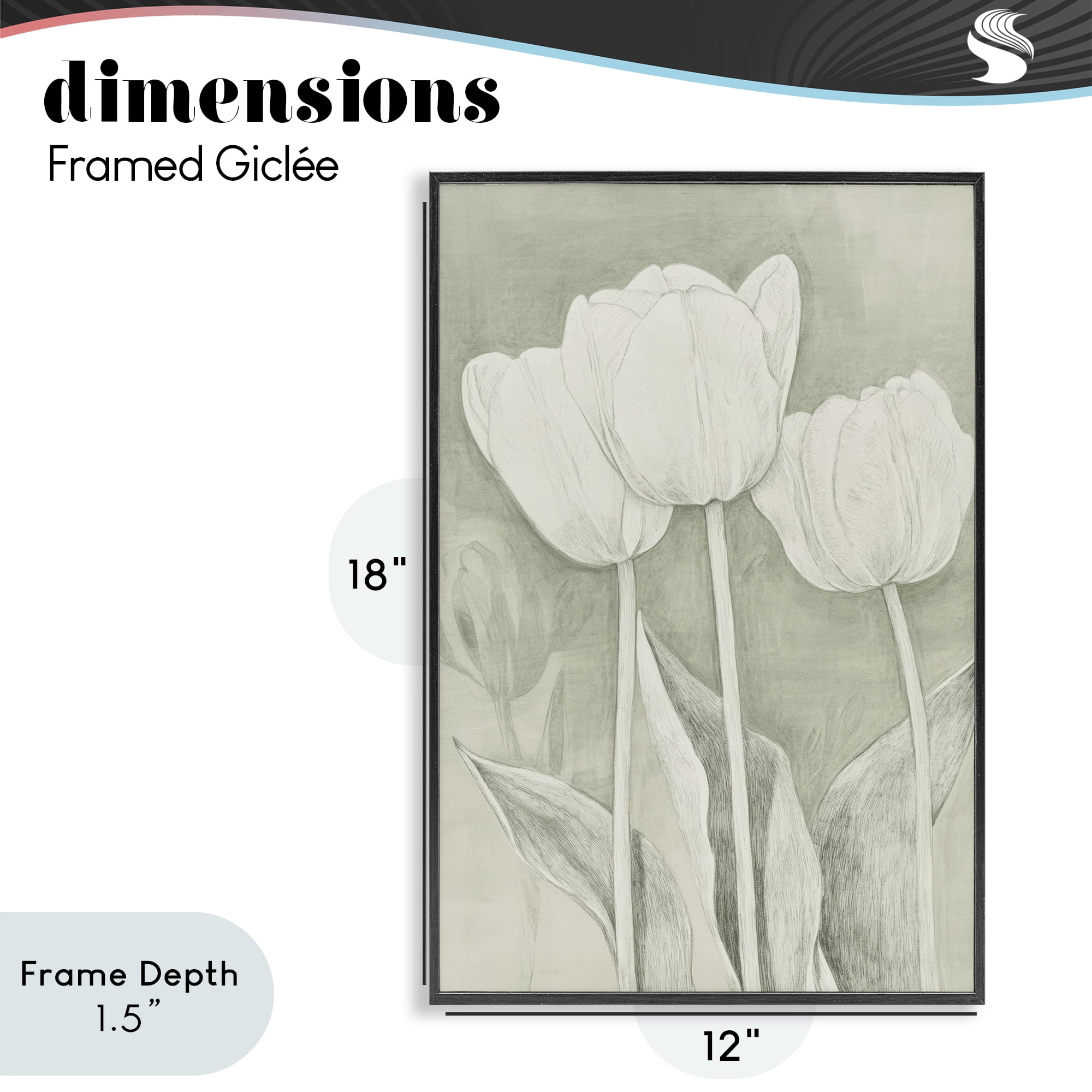 Stupell Industries Faded Tulips Pencil Sketch Black Framed Giclee Art, design by Petal Prints Design