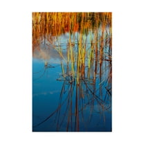 Trademark Fine Art 'Reflections On Water' Canvas Art by Anthony Paladino