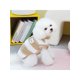 thumbnail image 3 of Pet Clothing Dog Clothes Autumn And Winter New Teddy Cat Pet Biped Clothing With Pull Ring White Bear Velvet Clothes, 3 of 5