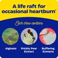 thumbnail image 5 of Enzymedica, Heartburn Soothe, Fast-Acting Digestive Aid, 42 Chews, 5 of 7