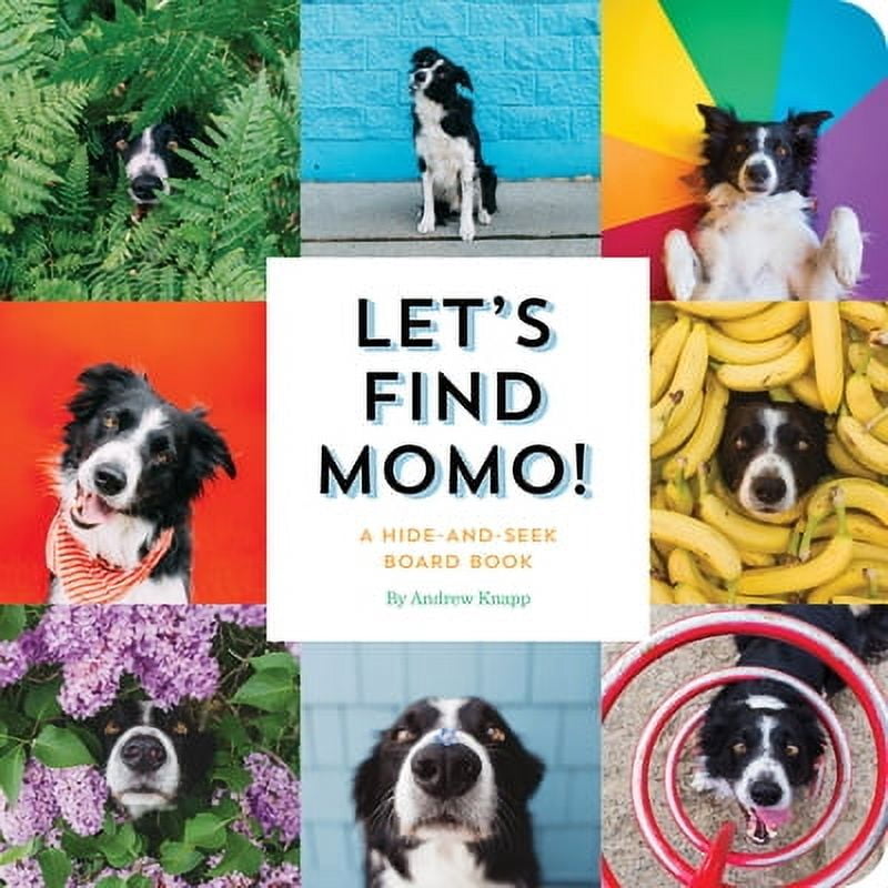 Lets Find Momo (Board Book) - Walmart.com
