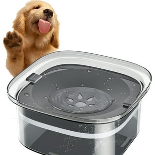 Big dog top water dispenser