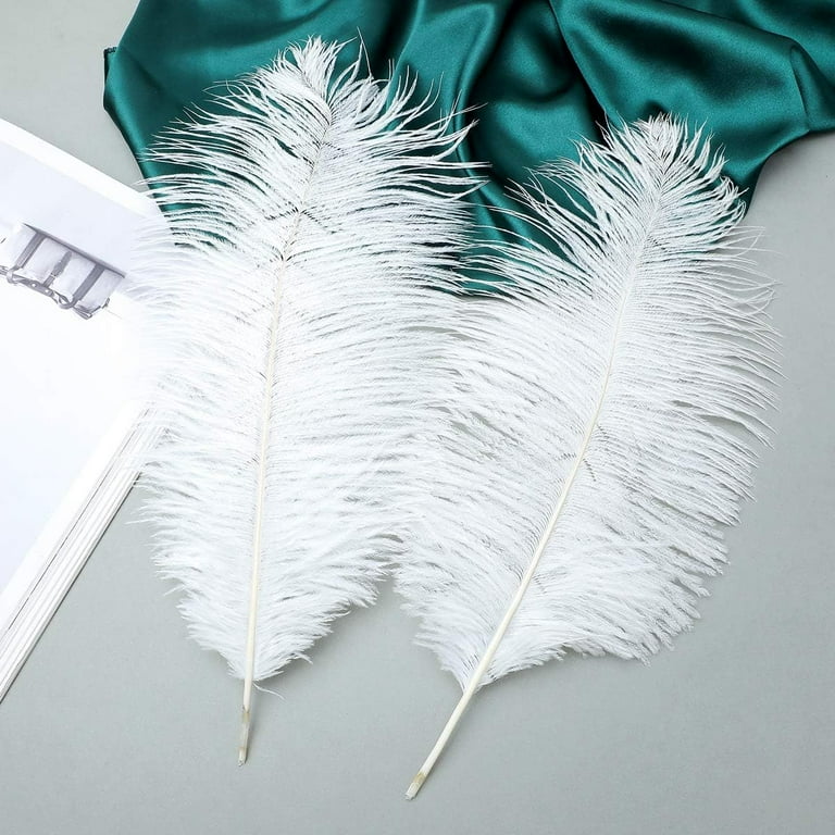 Silver ostrich feathers deals