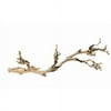 Exo Terra Forest Branch, Medium