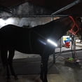thumbnail image 1 of 1x LED Caballo Coraza Collar Halter Noche Equitación Brida Blanco shamjiam Collar de coraza de caballo, 1 of 9