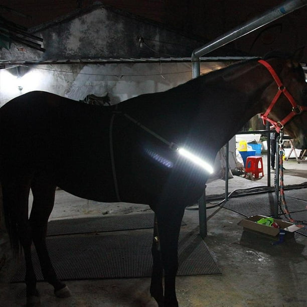 Arnés de caballo LED Collar Peto Placa de pecho de caballo brillante reflectante Blanco Cola Collar de coraza de caballo