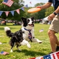 thumbnail image 6 of Chmadoxn Independence Day Pet Tie for Dogs and Cats, 4th of July Patriotic Stars and Stripes Adjustable Necktie, Red White and Blue Memorial Day Holiday Grooming Accessory, 6 of 6
