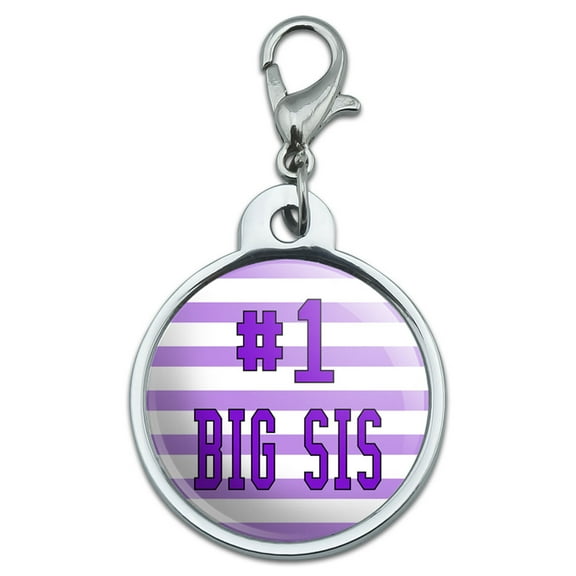 #1 Big Sis Number One Favorite Sister Small Metal ID Pet Dog Tag