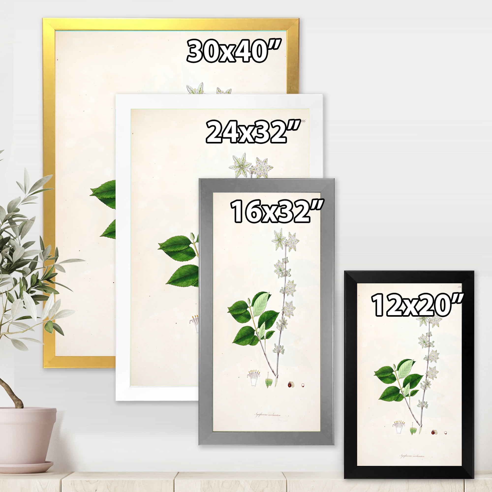 Designart 'Ancient Botanicals XV' Farmhouse Framed Art Print