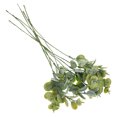thumbnail image 4 of 10 hojas artificiales de eucalipto, púas de eucalipto de imitación, decoración para arreglos florales., 4 of 7