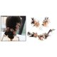 thumbnail image 4 of 1 Juego de banda para el cabello floral seco, joyería de moda, hermosos adornos para el cabello, horquilla de flores para boda creativa para Sunnimix Accesorios para el cabello de la novia de la boda, 4 of 8