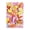 Bohemian Botanicals Modern, variant on Stupell Industries Eclectic Orange Botanicals on Pink Canvas Art, 16 x 24, by Victoria Barnes