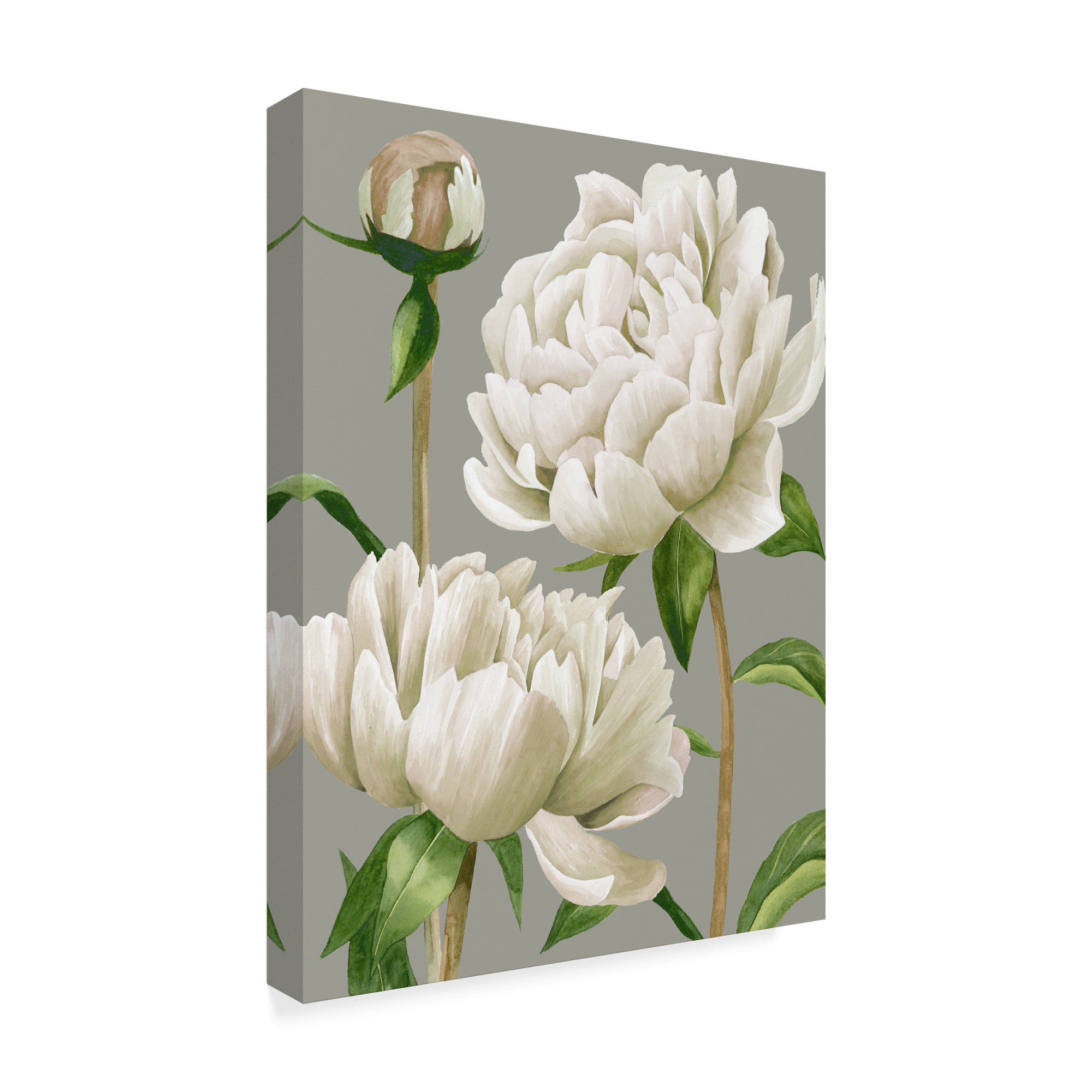 Trademark Fine Art 'White Peonies I' Canvas Art by Grace Popp