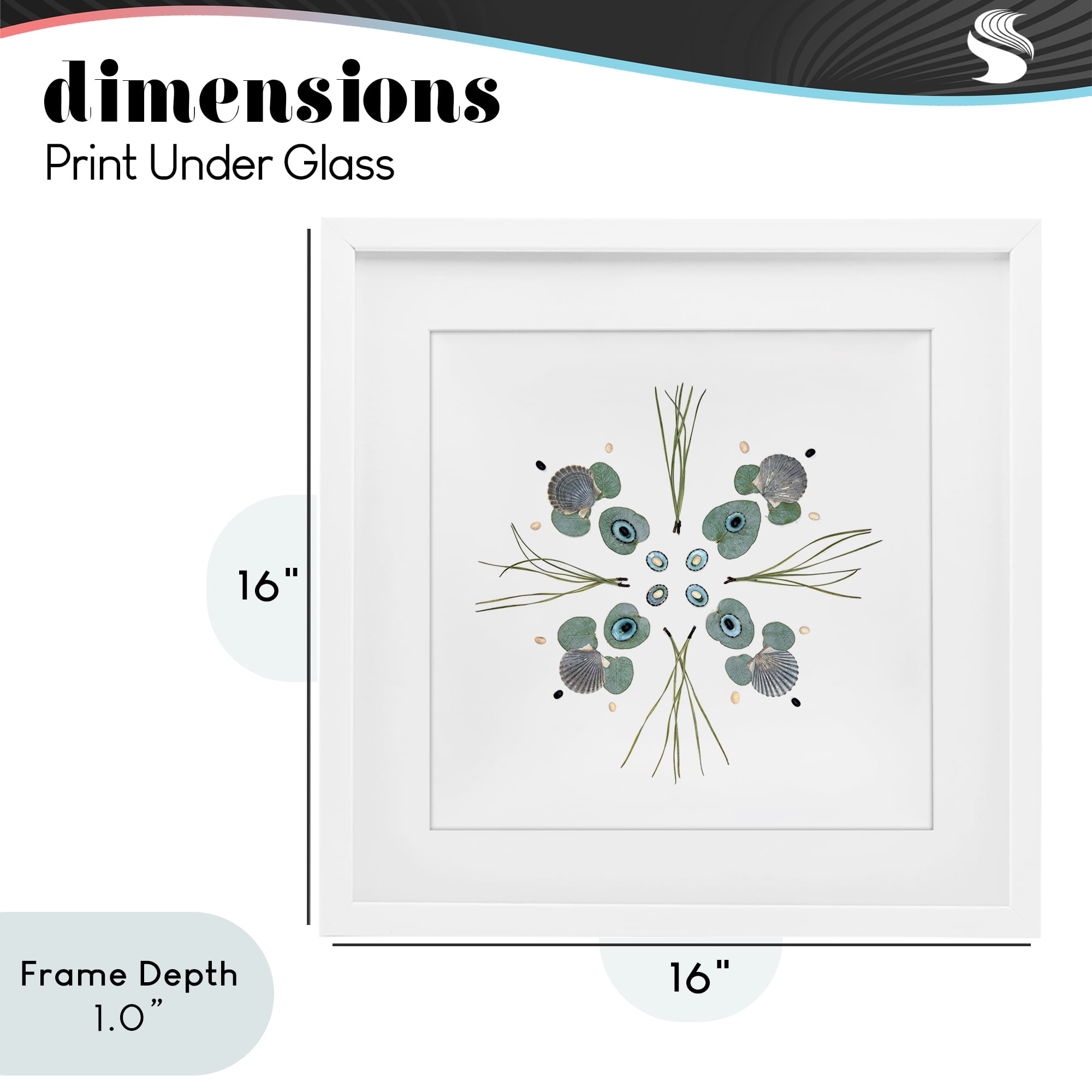 Stupell Industries Seashell & Leaf Symmetry White Framed Print Under Glass, design by Beth Adoette