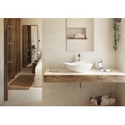 Ruy Ohtake by Roca Organic Porcelain vessel sink. Elongate vessel sink