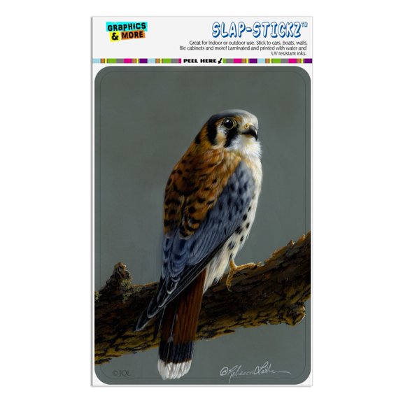 American Kestrel on Branch Painting Home Business Office Sign