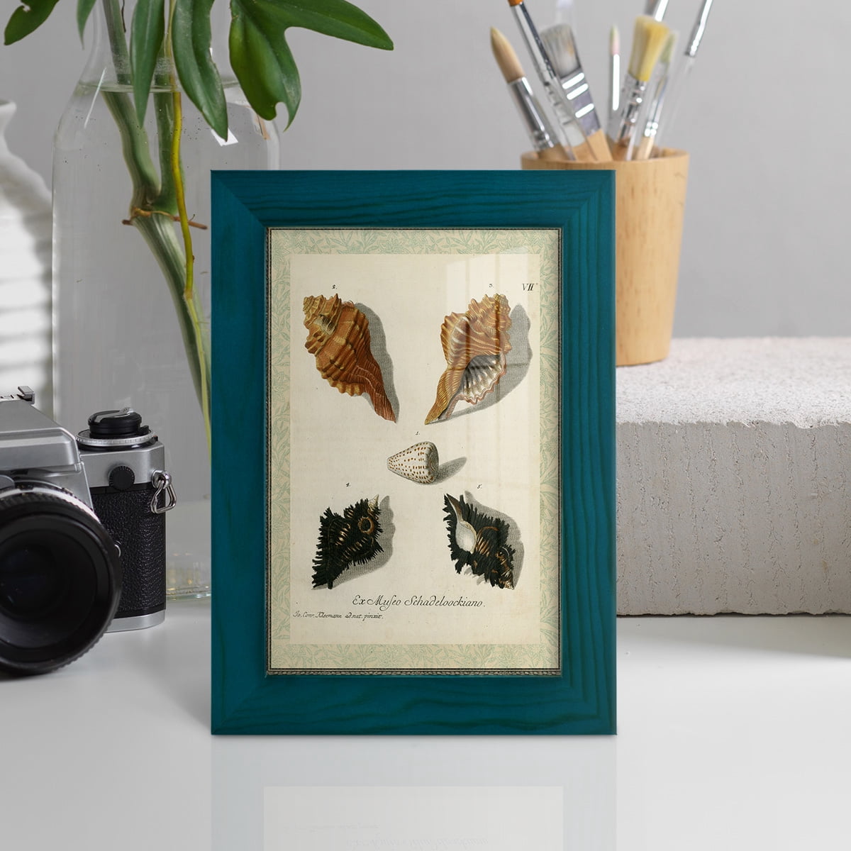 Bookplate Shells I - Framed Print w/glass - Ocean Blue