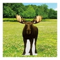 thumbnail image 2 of Life Size Cardboard Cutout Standup | Waterproof | Animals - lifesize (), 2 of 5
