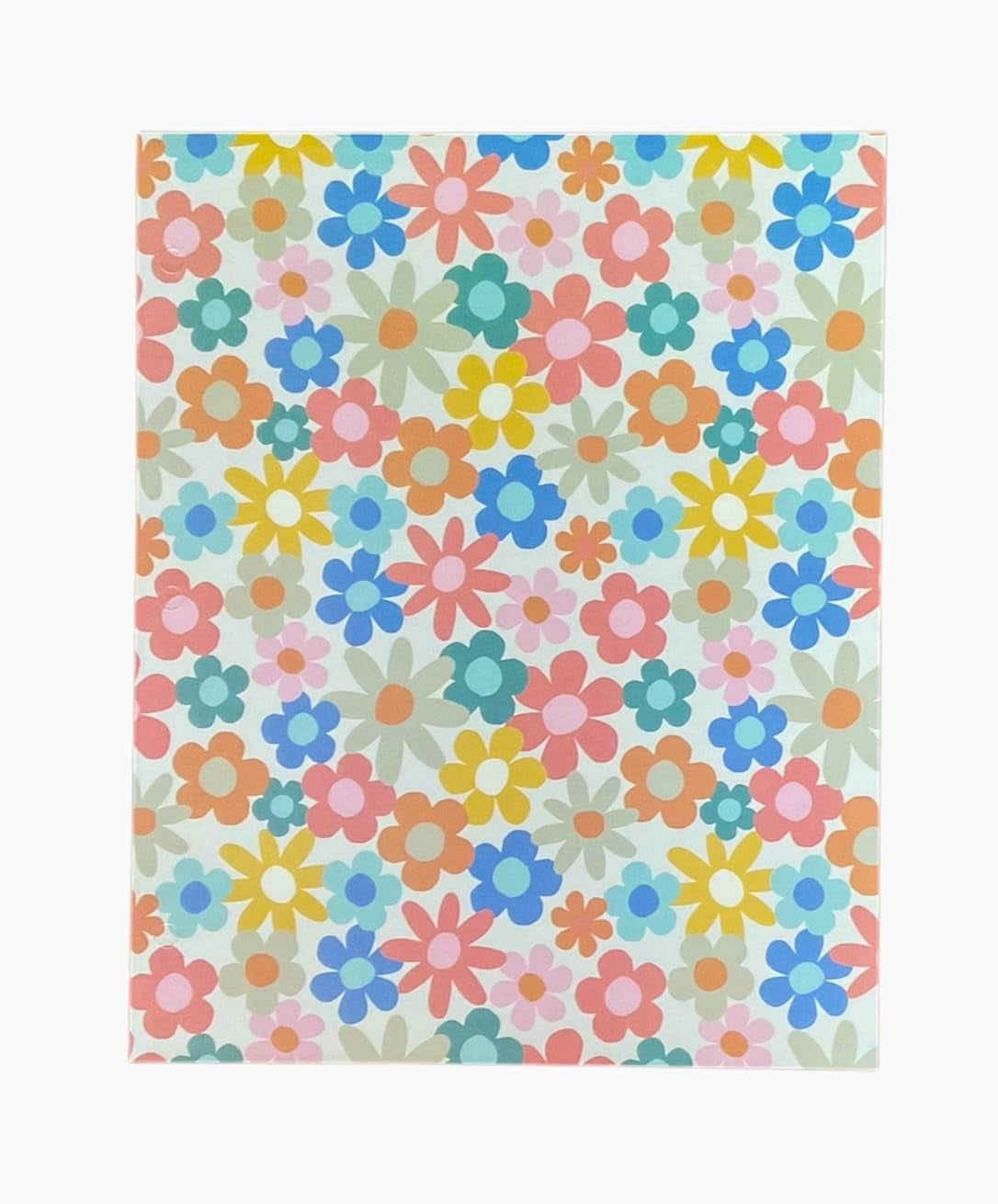 Back to School 2 Pocket Folders Hearts, Flowers, Cherries, Rainbows  Set of 4  Elementary Grade School