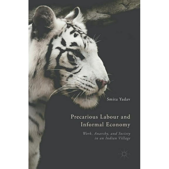 Precarious Labour and Informal Economy: Work, Anarchy, and Society in an Indian Village, (Hardcover)