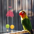 thumbnail image 1 of Safe   Toy, Ball Chewing Biting Bird Toy, Animals Pets Birds For Parrots, 1 of 8