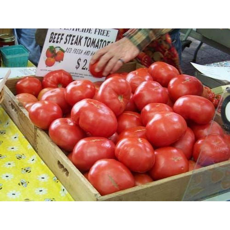 Tomato Beefsteak Garden Heirloom Vegetable 200 Seeds Tomato Beefsteak Garden Heirloom Vegetable 200 Seeds