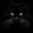 Unframed, variant on Art.com Black Cat Photographic Print by Lori Hutchison, 30" x 30"