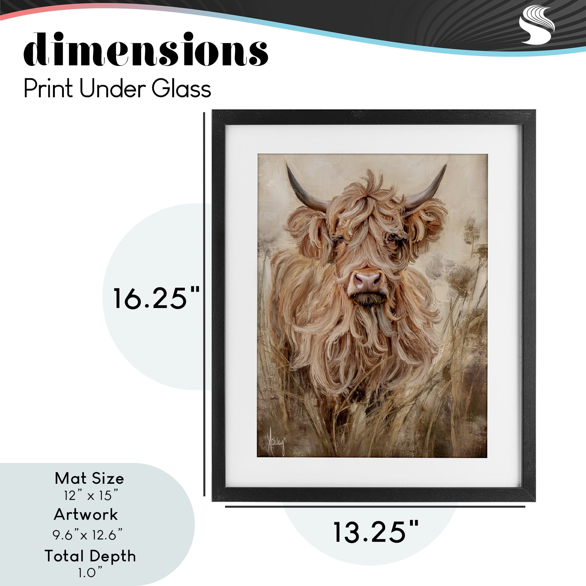 Curly Haired Highland Cattle Black Framed Print Under Glass, design by Ashley Bradley