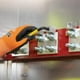 thumbnail image 5 of Juego de llaves hexagonales Klein Tools BLS18 codificadas por colores, 18 piezas, 5 of 9