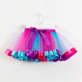 thumbnail image 2 of NOLDARES Tutu Skirt Girls Elastic Ballet Dance Skirts Layers Tulle Tutu for Toddler Kid Children 1-9 Years(Hot Pink,2-4 Years), 2 of 5