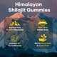 thumbnail image 5 of Suplemento Balincer Pure Himalayan Shilajit Gummies Gold, 5 of 7