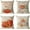Orange, variant on Fall Decor Pillow Covers 20x20 Set of 4 Pumpkin Maple Leaf Outdoor Fall Throw Pillows Thanksgiving Autumn Farmhouse Decorative Cushion Case for Home Couch Sofa Decorations (20 inch)