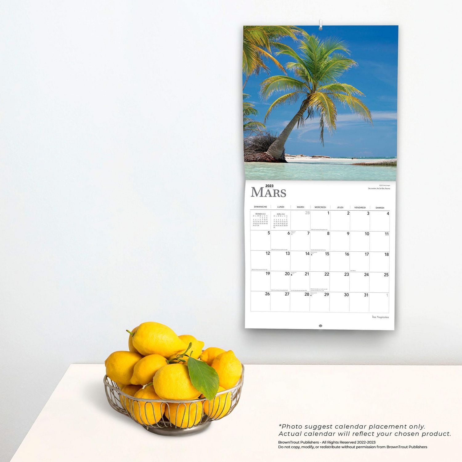 Îles Tropicales | 2023 12x24 Inch Square Wall Calendar