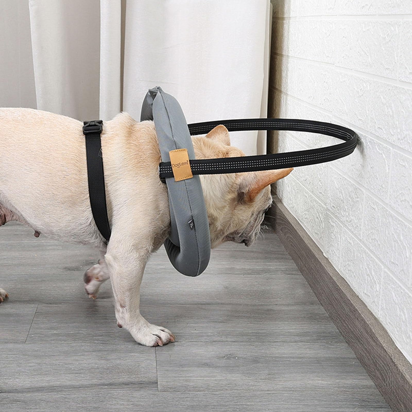 Blind Dog Harness Guiding Device, Lightweight Collar for Blind Dog, Adjustable Blind Cat Accessories, Pet Anti-Collision Ring for Protective&Build Confidence XL