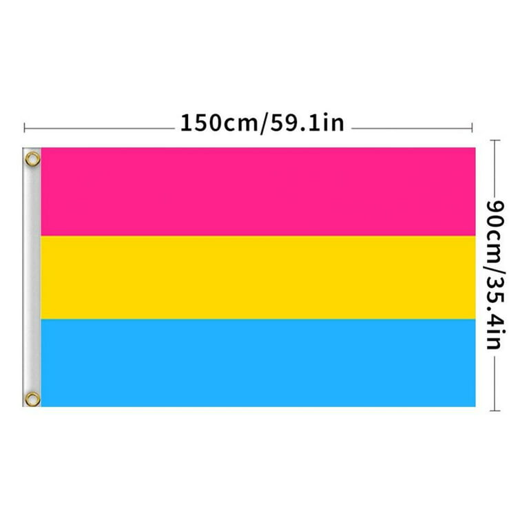 Pretty Comy Pansexual Pan Pride Flag Polyester LGBT Omnisexual Equality Flags For Outdoor Wall With Brass Grommets - Walmart.com