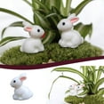thumbnail image 1 of Xihbxyly Miniaturas de Jardín de Pascua, Adornos de Conejo Pintados a Mano, Artesanía de Resina para Minijardines, Decoración de Casas de Muñecas, Vistas de Jardín Diy, Decoración de Sala de Estar, T, 1 of 4