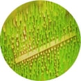 thumbnail image 1 of Ahgly Company Machine Washable Indoor Round Transitional Dark Yellow Green Area Rugs, 3' Round, 1 of 7