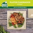 thumbnail image 4 of 50 Platos Cuadrados Ecologicos 26 cm / 10 x 10 Pulgadas Color Café Berry Green PLC10N, 4 of 5