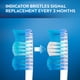 thumbnail image 4 of Cepillo de Dientes Oral-B Indicator Contour Clean Mediano Paquete de 4, 4 of 5