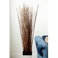 thumbnail image 2 of Green Floral Craft | 90-100 Stem Dried Asian Willow Decorative Branches 4-5 Feet Tall Floor Vase Filler (Honey), 2 of 7
