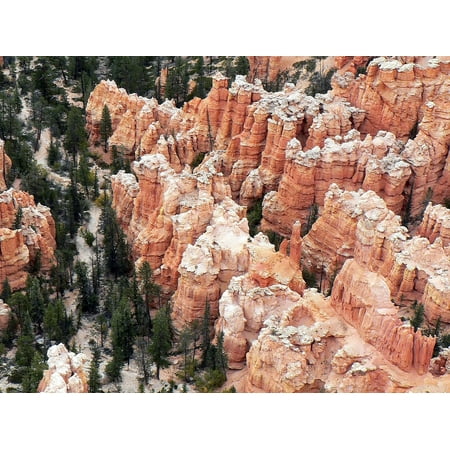 Laminated Poster Landscape Woodos USA Tourist Site Bryce Canyon Poster Print 11 x