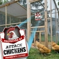 Bigtime Signs Attack Chickens PVC 9""x12""Chicken Fan Lovers