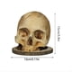 thumbnail image 1 of Soporte para Cuchillos, Soporte para Cuchillos con Forma Calavera, Soporte para Cuchillos con Forma Cabeza Terror, Estante para Cabeza Almacenamiento Cocina Aterrador, 1 of 5