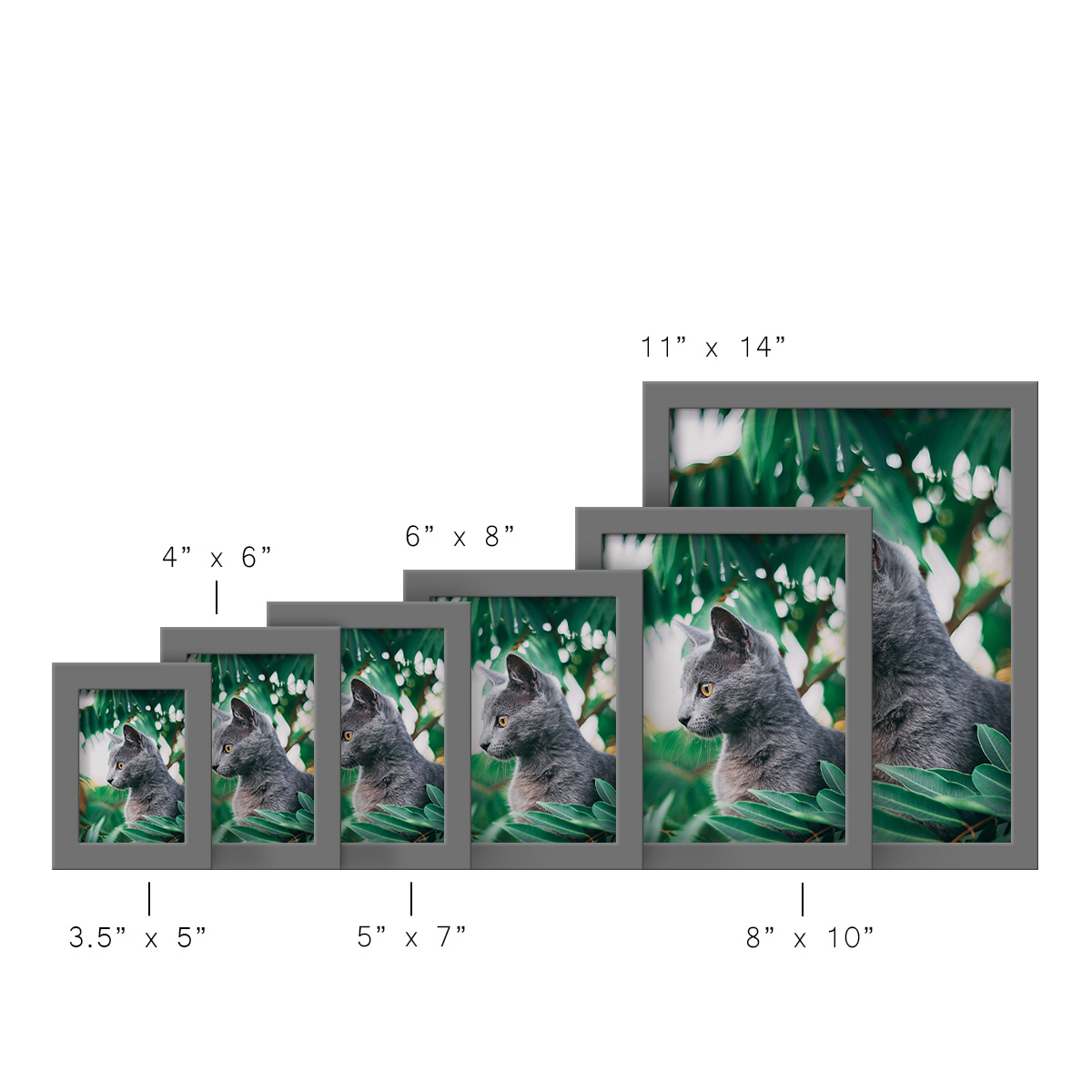 Modern 8 in. x 10 in. Grey Picture Frame (Set of 4)