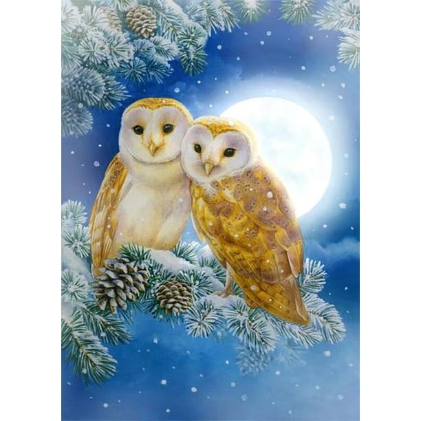 Juego de pintura de diamante 5D para niños adultos de 30 x 40 cm, diseño de búho lunar, bordado de diamantes completo, juego de pintura de diamantes de imitación de cristal en lienzo, adecuado para de