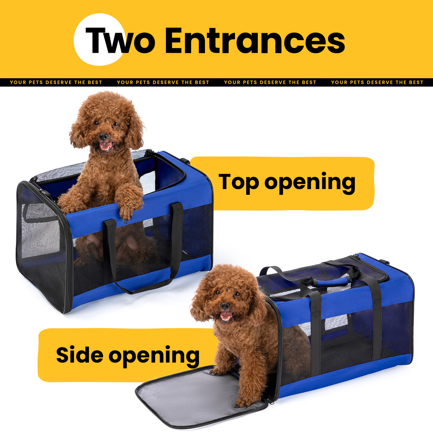 Conlun Cat Dog Carrier,Soft-Sided Pet Carriers for Dogs with 4-Sided Mesh,Cat Transport for Large Cats Small Dog Up to 9.9Kg,Collapsible Dat Travel Carrier-L,Blue