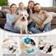 thumbnail image 5 of Traje de recuperación para perros, camisa posquirúrgica para cachorros, ropa protectora para heridas para animales pequeños, 5 of 5