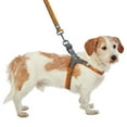 thumbnail image 2 of Best Friends Dog Harness-Neoprene Comfort Liner-Orange and Gray, Small, 2 of 7