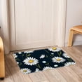 thumbnail image 6 of Daisy Polyester Non-Slip Outdoor Carpet Door Mat - Machine Washable Door Rugs, 6 of 6